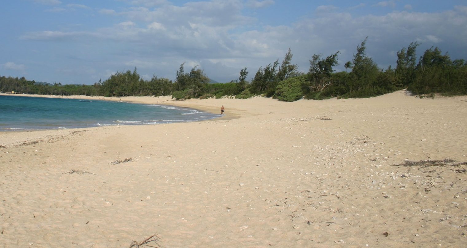 Baldwin Beach Park, Maui, Hawaii Ultimate guide (January 2024)