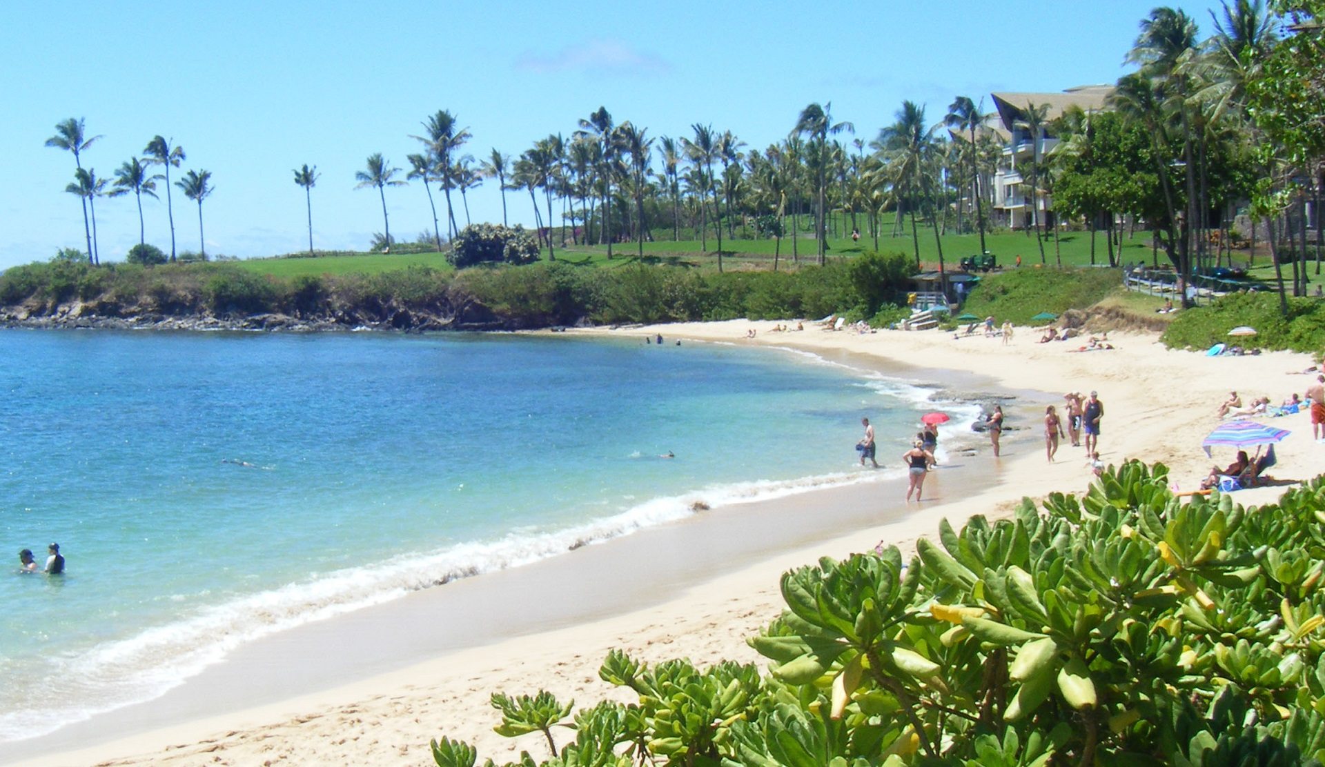 Kapalua Bay beach, West Maui, Hawaii Ultimate guide (January 2024)