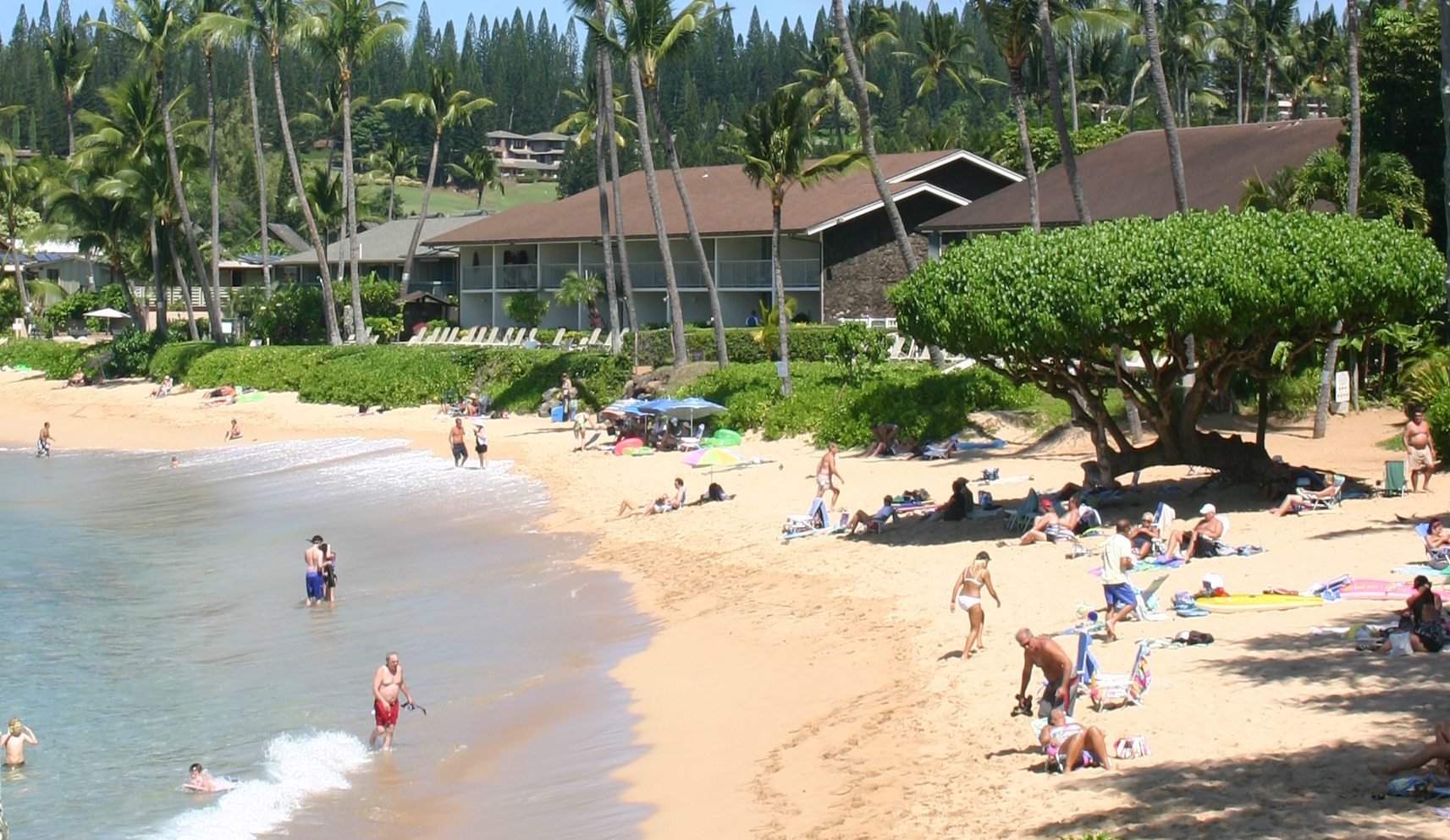 6 Best beaches in West Maui, Maui, Hawaii Ultimate guide (February 2024)