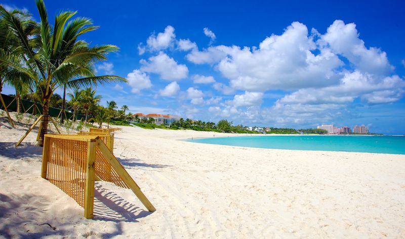 Cabbage Beach Nassau Bahamas Ultimate Guide July 2024