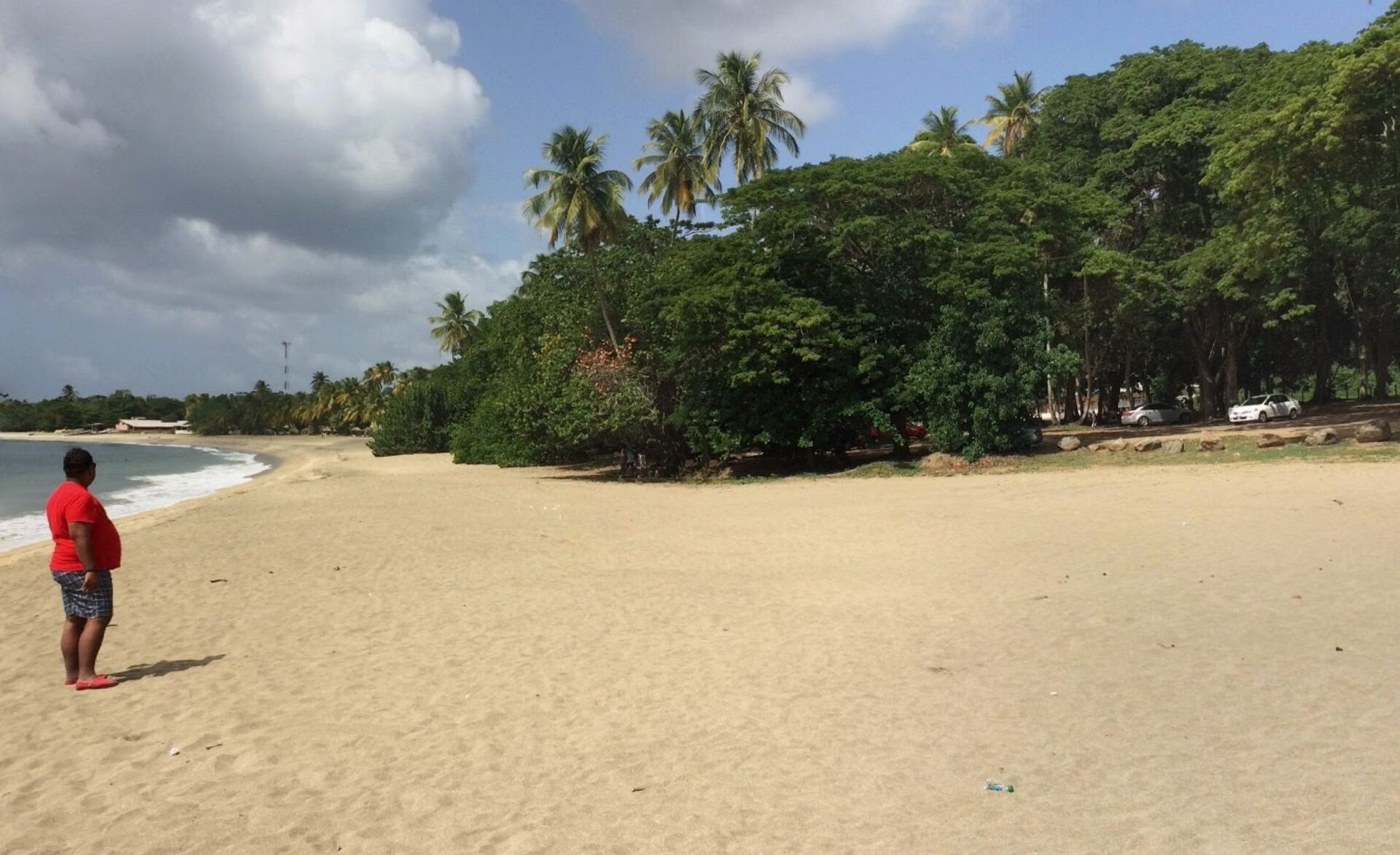 Great Courland Bay Beach Tobago Trinidad And Tobago Ultimate Guide