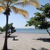 Colombia, Santa Marta, Bello Horizonte beach, tree and palm