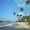 India, Kerala, Thaickal beach, palms