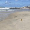 Brazil, Caponga beach, water edge