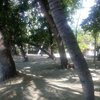 Colombia, Santa Marta, Playa Costa Azul beach, trees