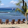 Hawaii, Puako beach, whale