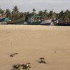 India, Kerala, Arthunkal beach, boats