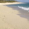 Indonesia, Sumbawa, Tropical Beach, water edge