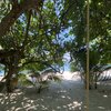 Malaysia, Kapas, Surau beach, trees