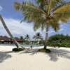 Maldives, North Male Atoll, Varu island, hammock