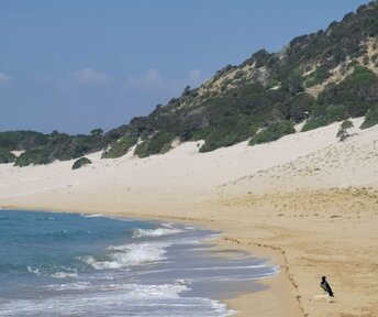 Northern Cyprus, Golden Beach