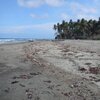 Philippines, Palawan, Inagawan beach, right