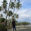 Philippines, Palawan, Kamuning beach, palms