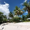 Samoa, Savaii, Aganoa beach, palms