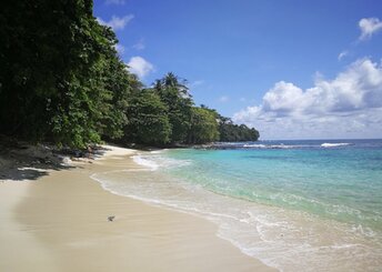 Sao Tome and Principe, Rolas, Coffee Beach