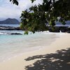 Sao Tome and Principe, Rolas, Coffee Beach, tree shade