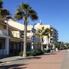 Spain, Valencia, Puzol beach, palms