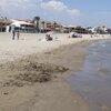 Spain, Valencia, Puzol beach, water edge