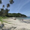 Thailand, Phangan, Haad Yao East beach, ivy