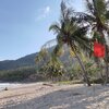 Thailand, Phangan, Haad Yao East beach, palms