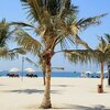 United Arab Emirates (UAE), Al Hamra beach, palms