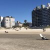 Uruguay, Playa Malvin beach, view from water