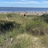 Uruguay, Playa Verde beach, dune