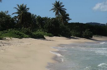 USVI, St. Croix, Grotto Beach