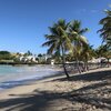 USVI, St. Croix, Grotto Beach, palms