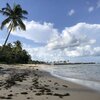 Vietnam, Phu Quoc, Ham Ninh beach, algae