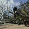 Bahamas, Andros, Forfar Field beach, volleyball