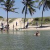 Brazil, Piscina dos Portugueses beach, palms