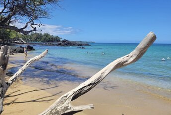 Hawaii, Waialea beach