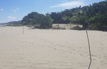 Honduras, Punta Piedra beach