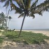 India, Kerala, Pollethai beach, boats