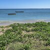 Rodrigues, Anse aux Anglais beach, ivy