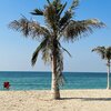 United Arab Emirates (UAE), Al Hamriyah beach, palms