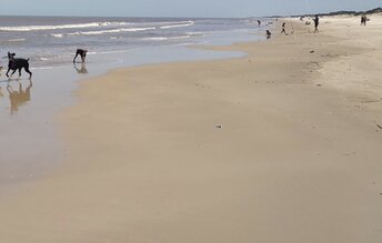 Uruguay, Playa Pinar beach