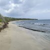 USVI, St. Croix, Coakley Bay beach, algae