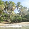 Venezuela, Playa Negra beach, view from water