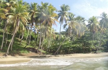 Venezuela, Playa Negra beach, view from water