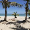 Bahamas, Andros, Kamalame Cay beach, palms