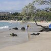 Hawaii, Kauna'oa beach