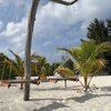 Maldives, North Male Atoll, Gaafaru island, beach, view from water