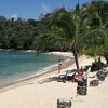 Panama, Isla Grande beach, palm