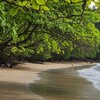 Sao Tome, Praia Vanha beach, trees