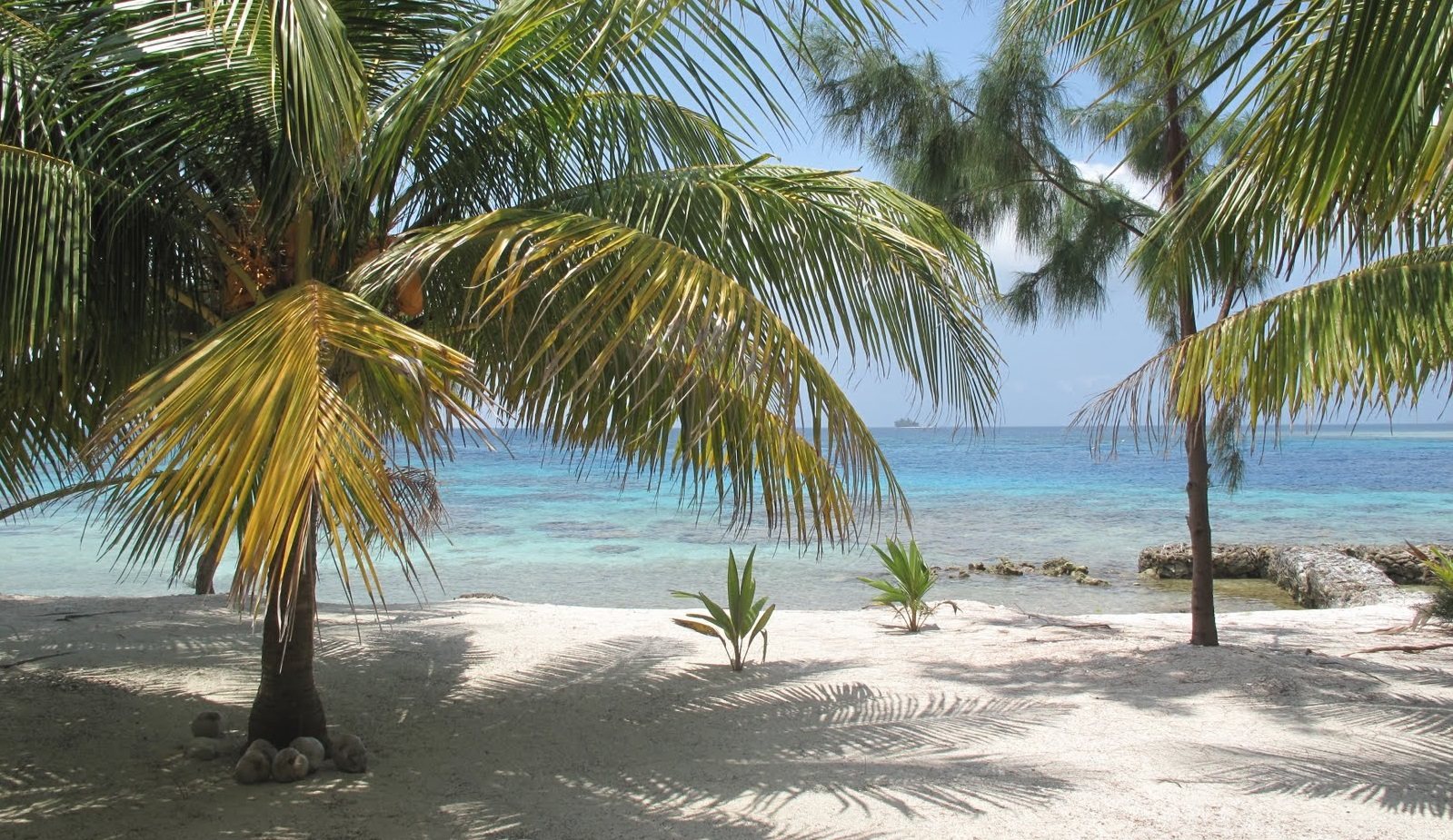 little-cay-island-utila-honduras-ultimate-guide-september-2024