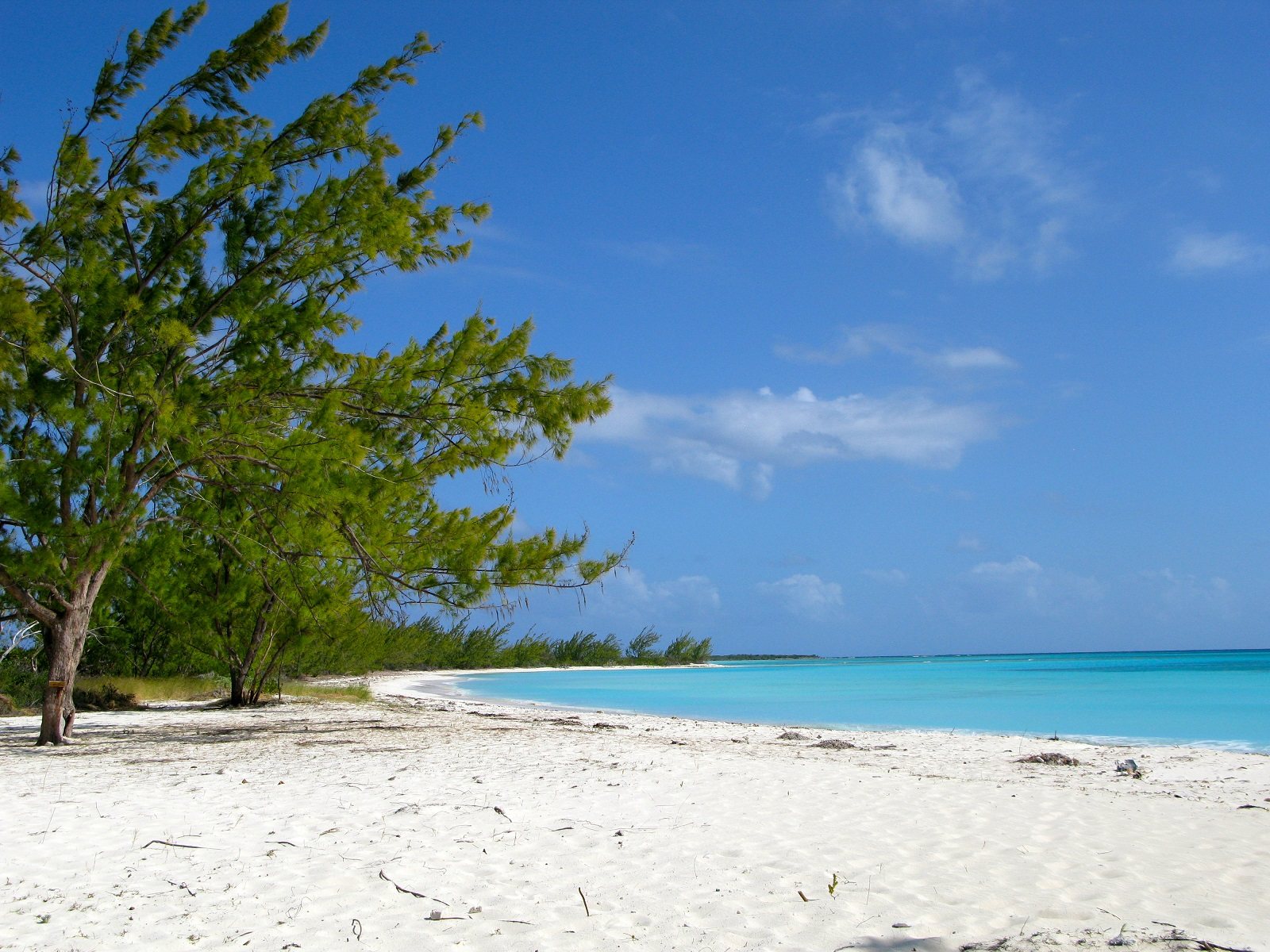 Gordon’s beach, Long Island, Bahamas - Ultimate guide (September 2024)