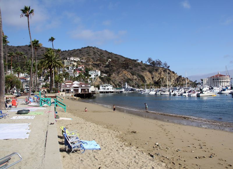 Avalon beach, Santa Catalina, USA - Ultimate guide (June 2024)