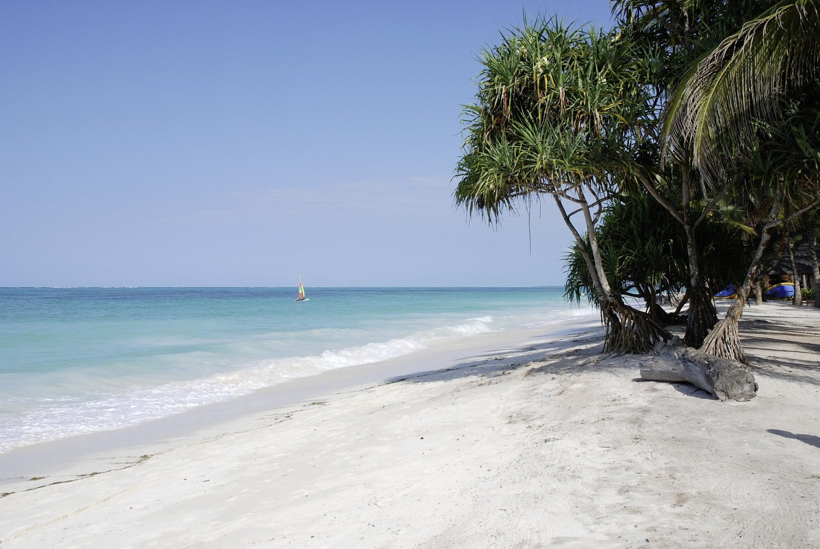 Kiwengwa Beach, Zanzibar, Tanzania - Ultimate Guide (November 2024)